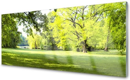 Coloray Panel Szklany Płytka Trawa Drzewa Park 140x70 PLPK140X70NN64432379