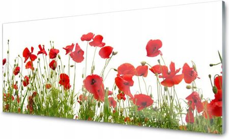 Coloray Lacobel Panel Szklany Ścienny Maki Kwiaty 140x70 PLPK140X70NN78436086