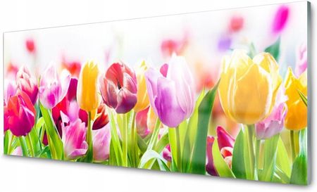 Tulup Panel Szklany Do Kuchni Tulipany Kwiaty 125x50 PLPK125X50NN173688107