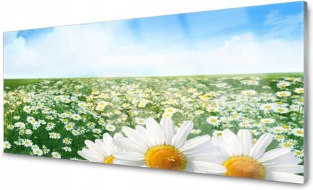 Coloray Panel Szklany Płytka Stokrotki Kwiaty 140x70 PLPK140X70NN66316048