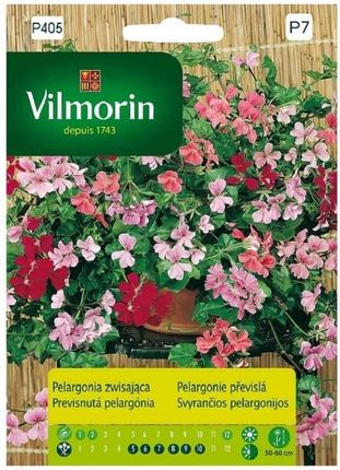 Pelargonia Zwisająca Mieszana 5Z Vilmorin