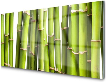 Tulup Panel Szklany Płytka Bambus Spa Roślina 120x60 PLPK120X60NN59955140