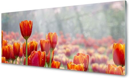 Tulup Panel Szklany Do Kuchni Tulipany Kwiaty 125x50 PLPK125X50NN63778329