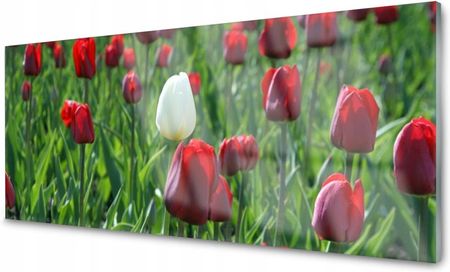 Tulup Panel Szklany Do Kuchni Tulipany Kwiaty 125x50 PLPK125X50NN7924894