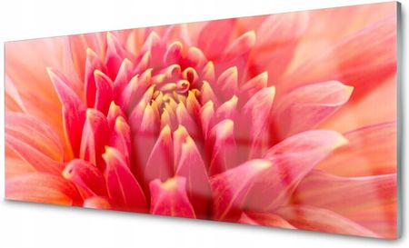 Coloray Lacobel Panel Szklany Ścienny Kwiat Roślina 140x70 PLPK140X70NN58010433