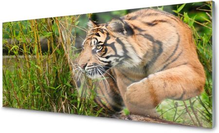 Tulup Panel Szklany Do Kuchni Tygrys Zwierzęta 125x50 PLPK125X50NN43798700