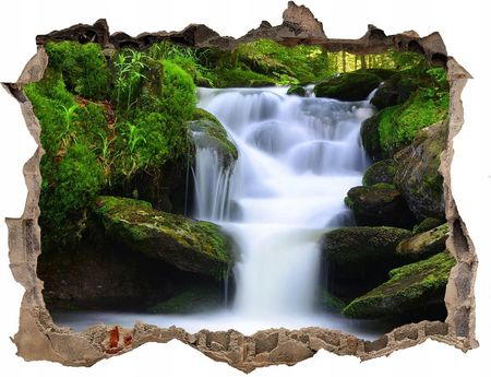 Coloray Naklejka Fototapeta 3D Widok Wodospad W Lesie