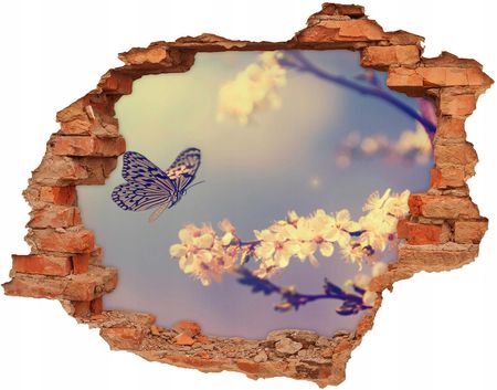 Coloray Fototapeta Dziura Na Ścianę Kwiat Wiśni I Motyl