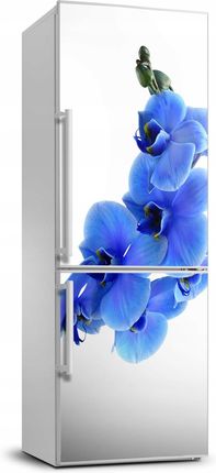 Coloray Naklejka Samoprzylepna Okleina Niebieska Orchidea