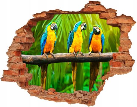 Coloray Dziura 3D Fototapeta Na Ścianę Papugi Gałęzi