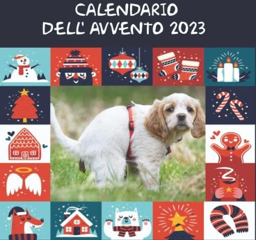 Calendario Avvento 2024 Esca da pesca per uomo adulto, 24 giorni Set di esche da pesca Calendario Avvento Natale Conto alla rovescia Set di attrezzatura per pesce per uomo, padre, nonno