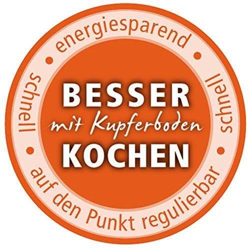 XXL-Topf ProfessPlus i in Top-Qualität kaufen
