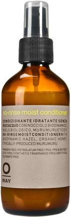 No Rinse Moist Conditioner Nawilżająca Odżywka W Spray U Bez Spłukiwania 160 ml