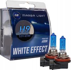 Marba Light Żarówki White Effect H9 65W 12V