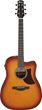Ibanez AAD50CE Light Brown Sunburst