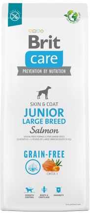 Brit care junior salmon & potato 12kg hotsell