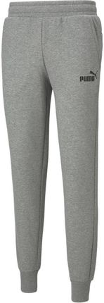 spodnie męskie Puma Essentials Logo Pants 586714-03