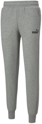 spodnie męskie Puma Essentials Logo Pants 586714-03