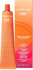 Inebrya Color 4/20 Farba 100 ml