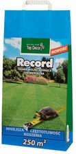 Zdjęcie Top Decor Trawa Record 5kg - Bierutów