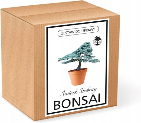 Zestaw Do Uprawy Bonsai wierk Kujcy Srebrny - Ceny i opinie - Ceneo.pl