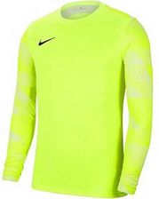 Zdjęcie Nike Bluza Bramkarska Dry Park IV Jsy Ls Gk Jr Cj6072 702 Zielony - Wrocław