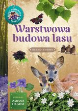 Zdjęcie Warstwowa budowa lasu. Młody Obserwator Przyrody - Świętochłowice
