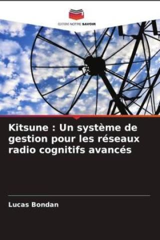 Kitsune Un Syst Me De Gestion Pour Les R Seaux Radio Cognitifs