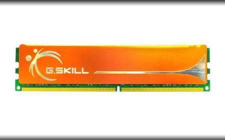 G.Skill 4GB DDR2-800 (F2-6400CL6S-4GBMQ)