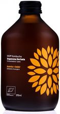Zdjęcie Napój herbaciany VIGO KOMBUCHA ACEROLA IMBIR 330ml - Chojnów