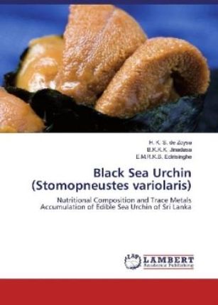 Black Sea Urchin (Stomopneustes variolaris)