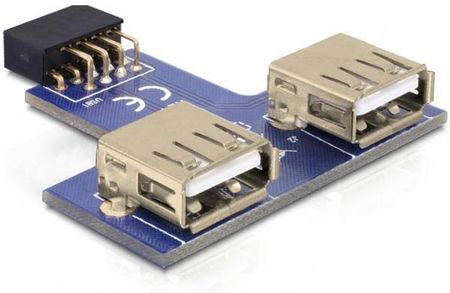 DeLOCK 9-pin 2.54 mm/2 x USB 2.0 (41824)