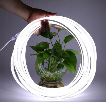 Jpc Jednostronny Neon Flex Led 230V Biały Zimny 8W (NJSBZSKLED)