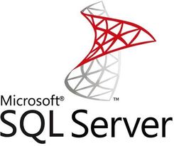 Zdjęcie Microsoft Sql Server 2022 Standard Csp (DG7GMGF0M80J0002) - Piastów