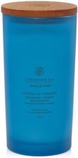 Zdjęcie Chesapeake Bay Candle Confidence & Freedom Świeca Duża 354G (PT31912E) - Kościerzyna