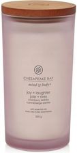 Zdjęcie Chesapeake Bay Candle Joy & Laughter Świeca Duża 354G (PT31915E) - Kielce