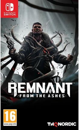Remnant From the Ashes (Gra NS)