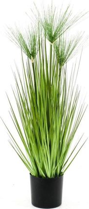 Emerald Sztuczny Papirus Cyperus Haspan W Doniczce 75 Cm 12517124