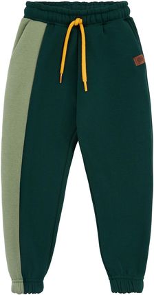Spodnie dresowe ocieplane, zielone