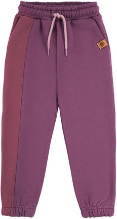 Spodnie dresowe ocieplane, fioletowe
