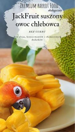 Premium Parrot Food - Ekologiczny Jackfruit - owoce chlebowca - dla wszystkich papug 50g