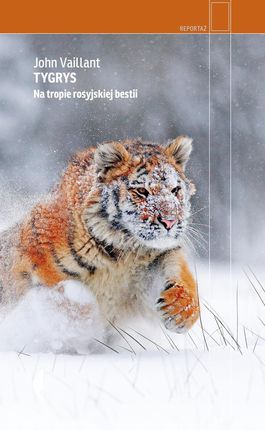 Tygrys (E-book)