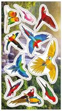Zdjęcie Ranok-Creative Naklejki Papugi - Bieżuń