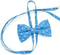 Zdjęcie Mucha damska Willsoor - Sosnowiec