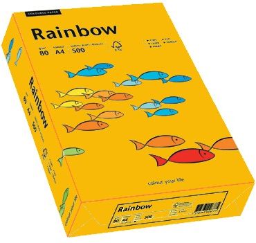 Rainbow Papier Kolorowy Jasno Pomarańczowy 22 ( 88042409 )