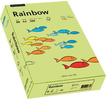 Rainbow Papier Ksero Kolorowy Jasno zielony 74 ( 88042607 )