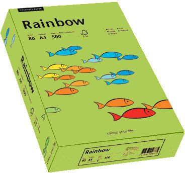 Rainbow Papier Ksero Kolorowy zielony 76 ( 88042651 )