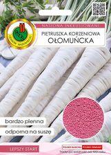 Zdjęcie Pietruszka Korzeniowa Ołomuńcka Inkrust. 5G,. Nswp - Chęciny