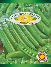 Zdjęcie Groch Ambrosia 40g Cukrowy Inkrustowane - Podkowa Leśna