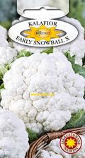 Zdjęcie Kalafior Early Snowball X 1g Inkrustowane - Piaseczno